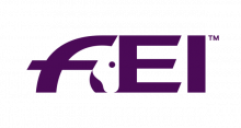 FEI Logo