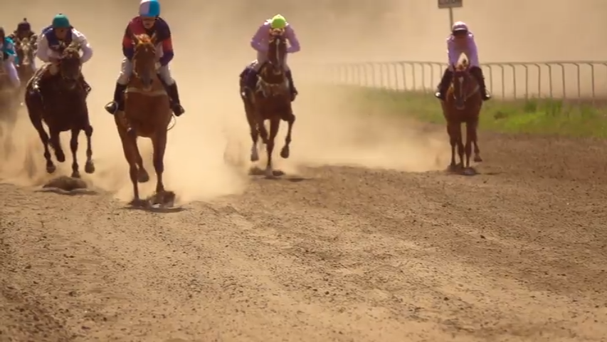 Horse Endurance Race